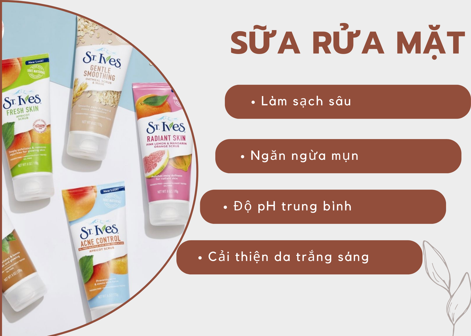 Sữa rửa mặt tẩy tế bào chết St. Ives Mỹ Sữa Rửa Mặt-1